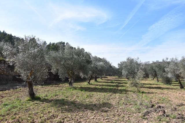 Finca/Casa di Campagna in vendita in La Fresneda - 30.000 € (Rif: 9150390)