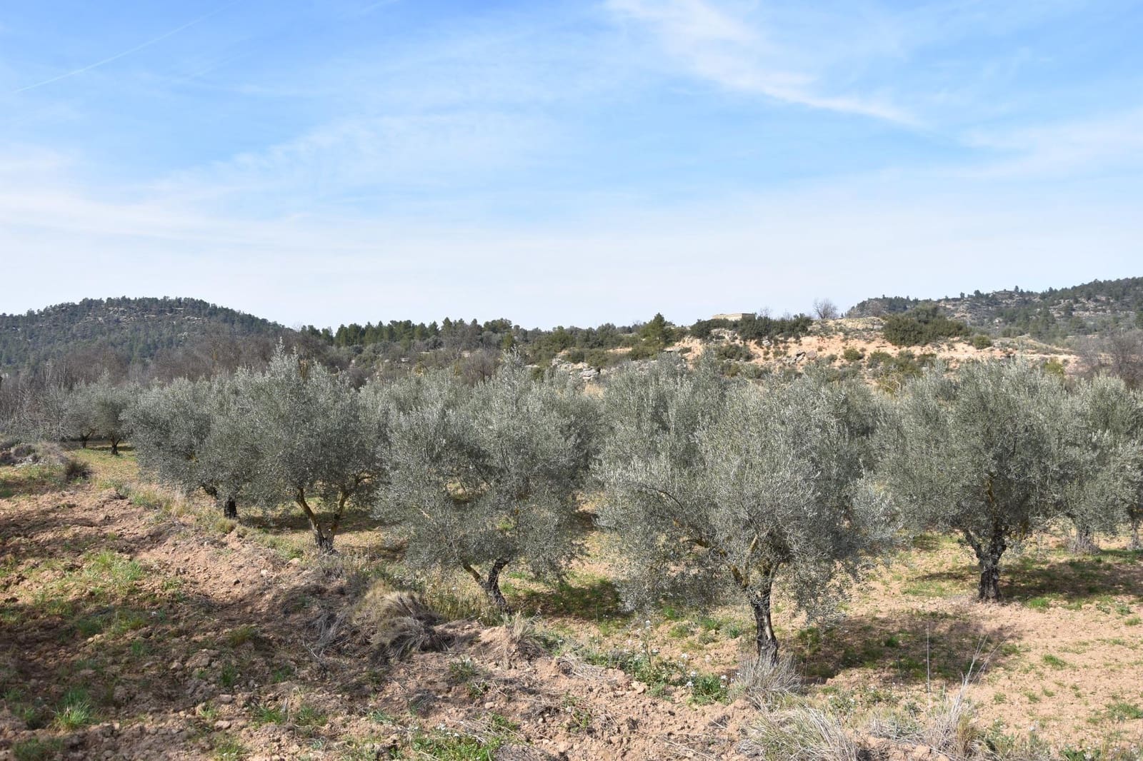 Finca/Casa Rural en La Fresneda en venta - 30.000 € (Ref: 9150390)