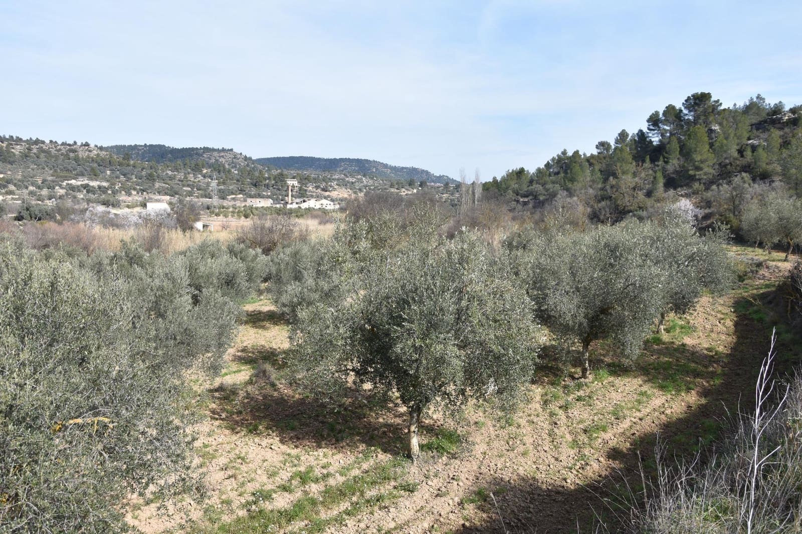 Finca/Casa Rural en La Fresneda en venta - 30.000 € (Ref: 9150390)