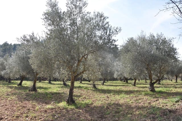 Finca/Casa di Campagna in vendita in La Fresneda - 30.000 € (Rif: 9150390)