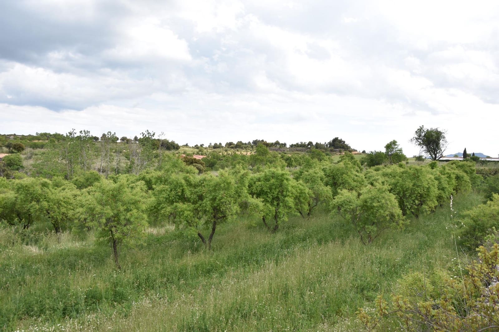 Finca/Landehus til salg i Monroyo - € 5.000 (Ref: 9150391)