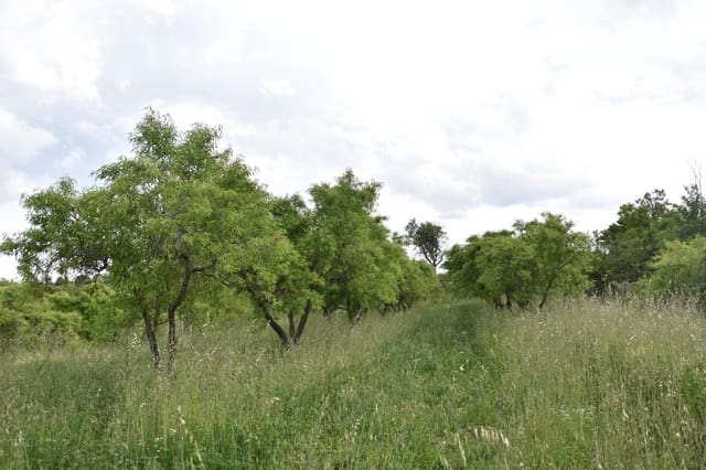 Finca/Herregård til salgs i Monroyo - € 5 000 (Ref: 9150391)