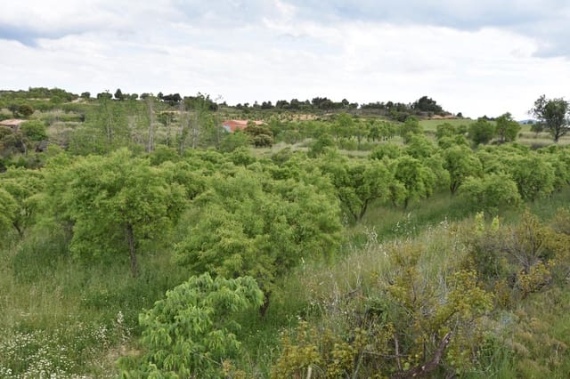 Finca/Herregård til salgs i Monroyo - € 5 000 (Ref: 9150391)