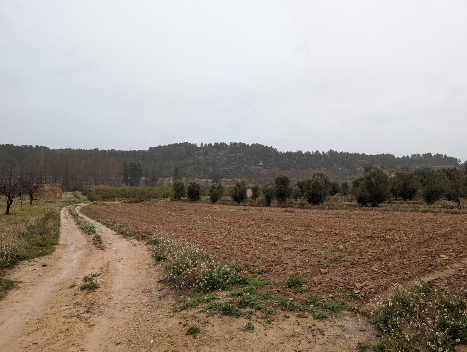 1 bedroom Finca/Country House for sale in Torre del Compte - € 44,000 (Ref: 9150396)