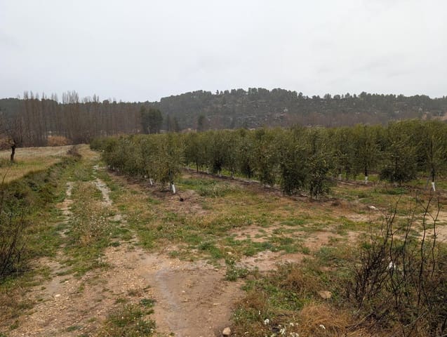 1 bedroom Finca/Country House for sale in Torre del Compte - € 44,000 (Ref: 9150396)