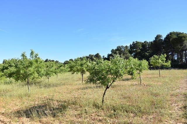 Finca/Landhuis te koop in Valderrobres - € 14.500 (Ref: 9150402)