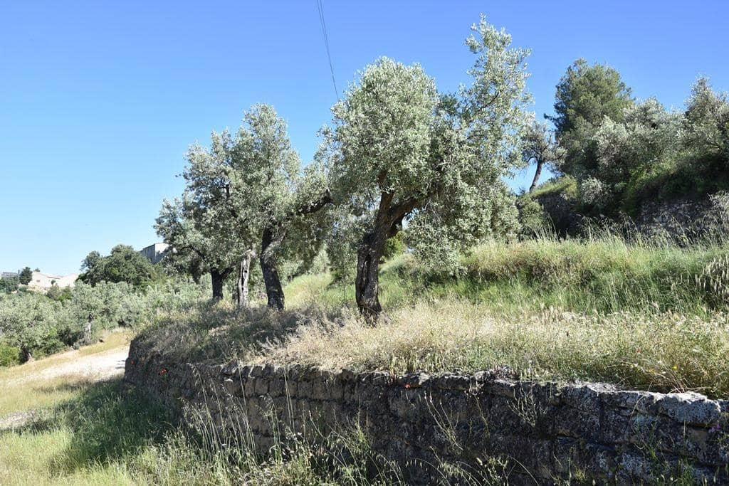 Finca/Country House for sale in Cretas - € 25,000 (Ref: 9150403)