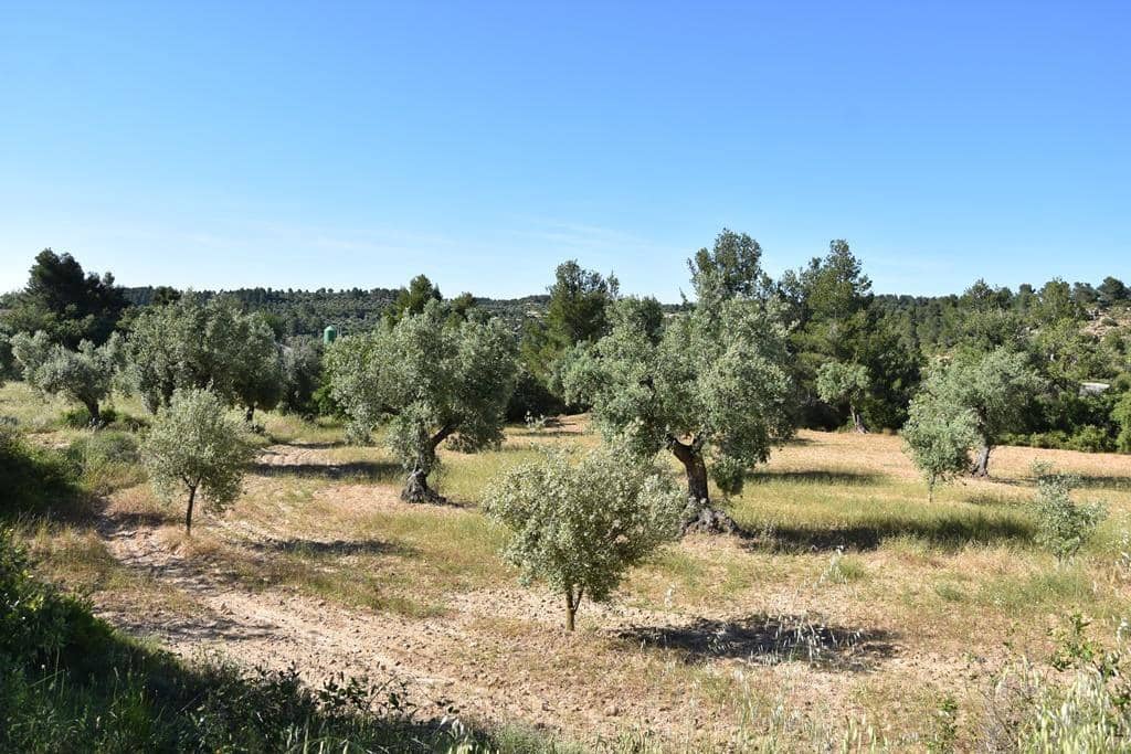Finca/Country House for sale in Cretas - € 25,000 (Ref: 9150403)