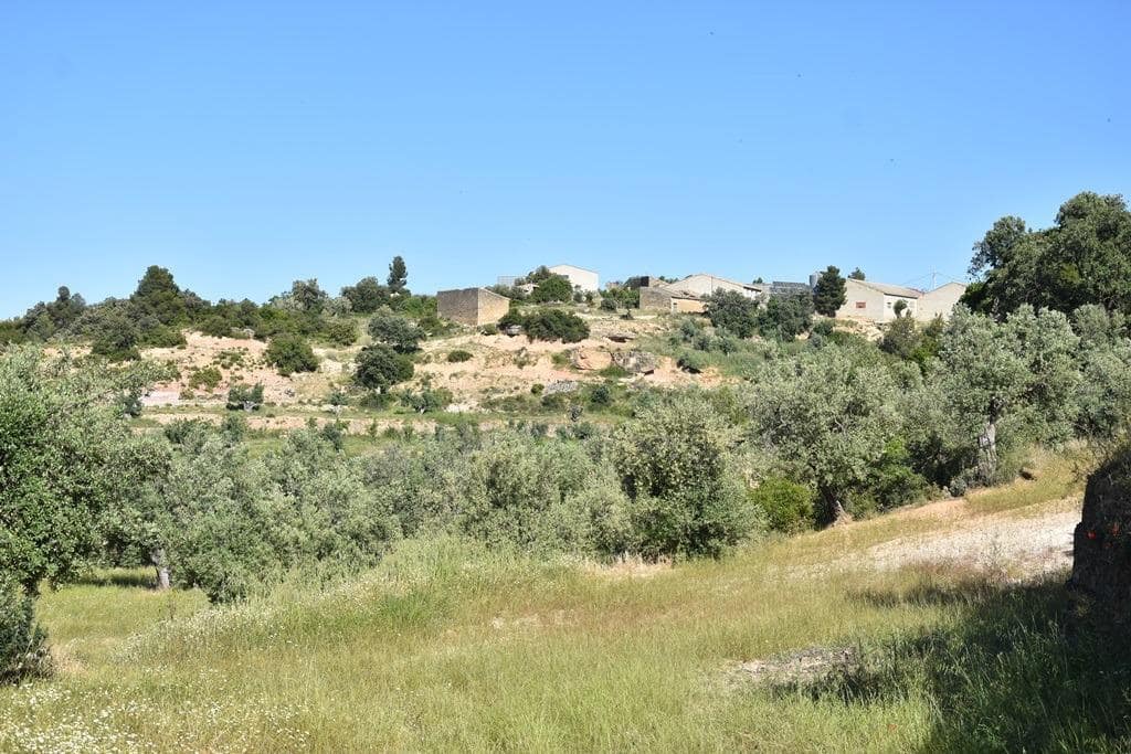 Finca/Country House for sale in Cretas - € 25,000 (Ref: 9150403)