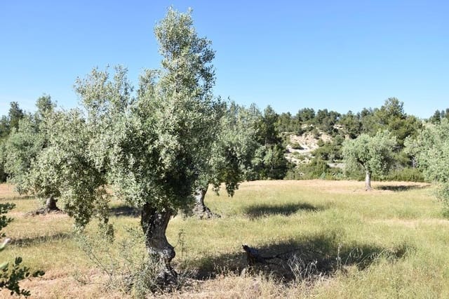 Finca/Landehus til salg i Cretas - € 25.000 (Ref: 9150403)