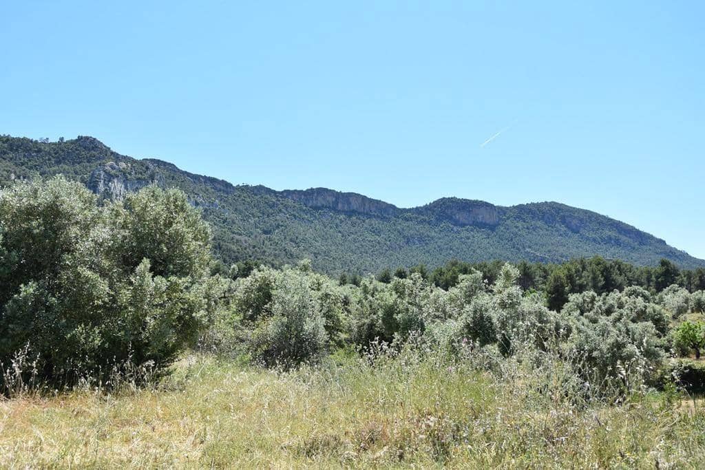 1 soverom Finca/Herregård til salgs i Valderrobres - € 20 000 (Ref: 9150405)