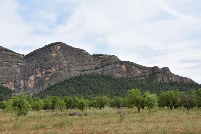 Finca/Landehus til salg i Horta de Sant Joan - € 150.000 (Ref: 9150408)