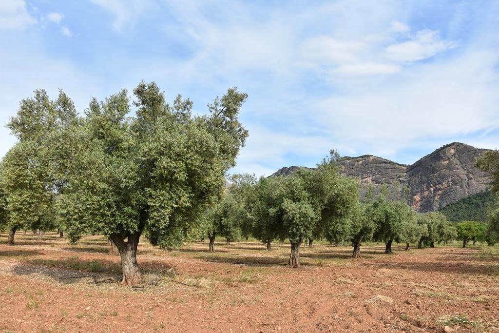 Finca/Herregård til salgs i Horta de Sant Joan - € 150 000 (Ref: 9150408)