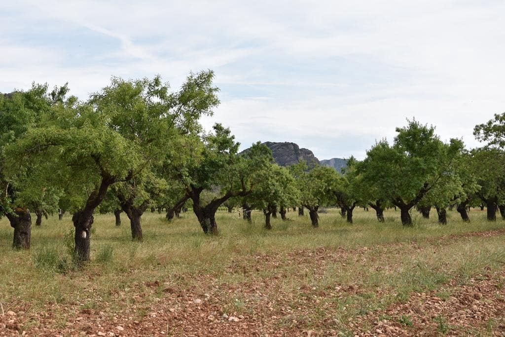 Finca/Herregård til salgs i Horta de Sant Joan - € 150 000 (Ref: 9150408)