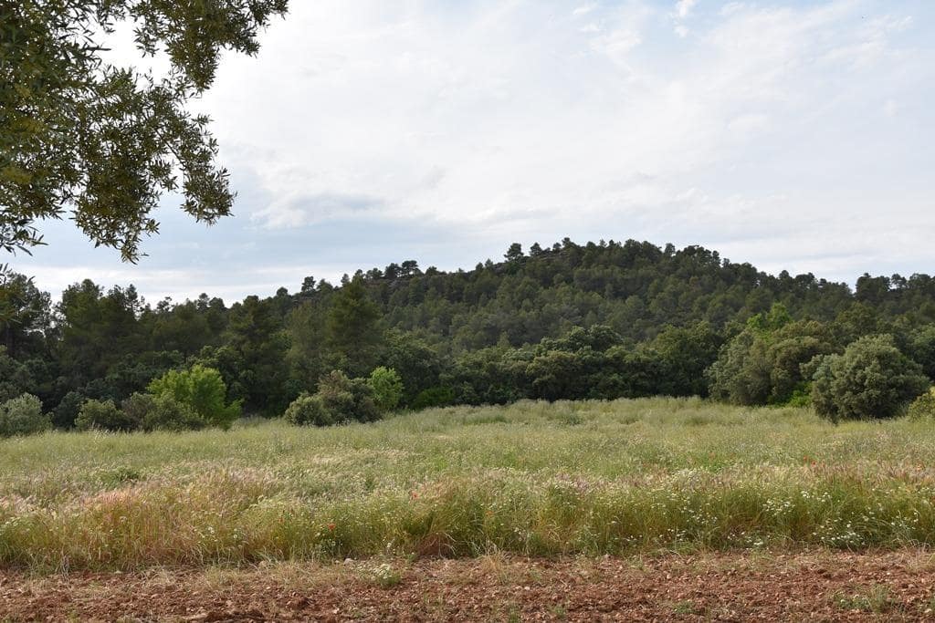 Finca/Herregård til salgs i Horta de Sant Joan - € 150 000 (Ref: 9150408)