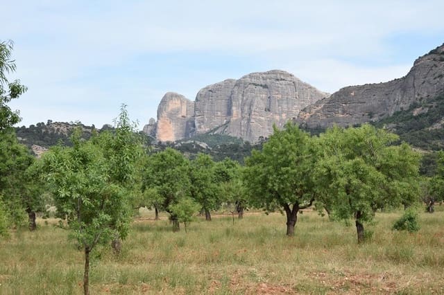 Finca/Landehus til salg i Horta de Sant Joan - € 150.000 (Ref: 9150408)