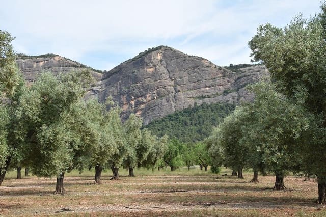 Finca/Landehus til salg i Horta de Sant Joan - € 150.000 (Ref: 9150408)