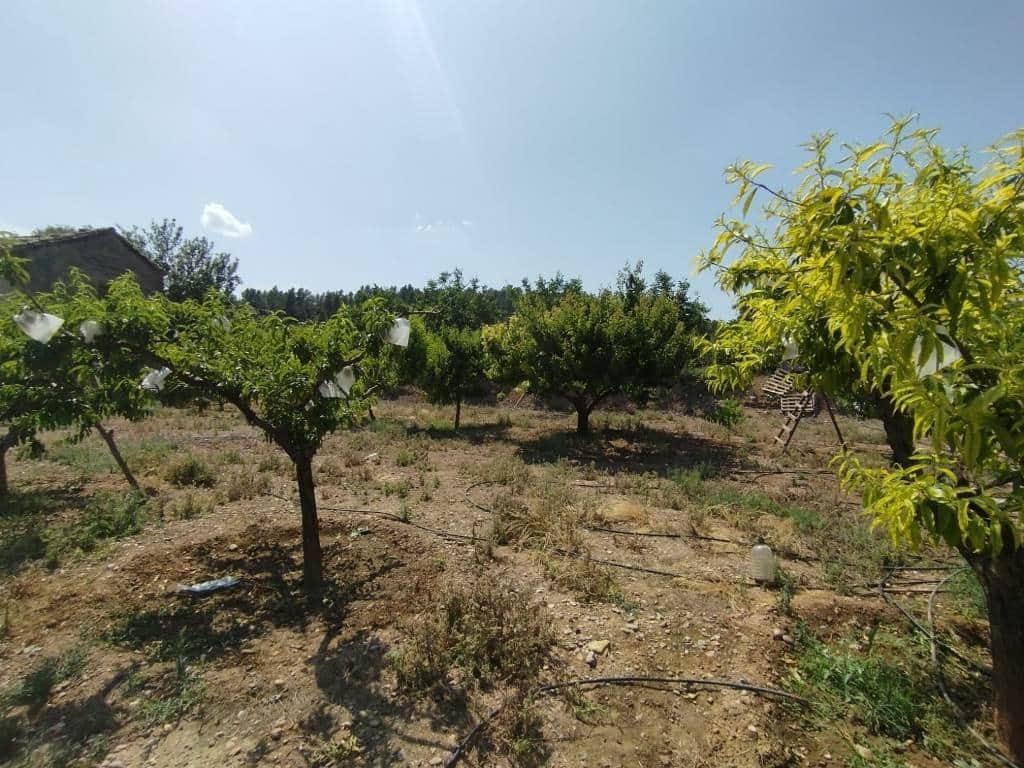 1 bedroom Finca/Country House for sale in La Fresneda - € 45,000 (Ref: 9150409)