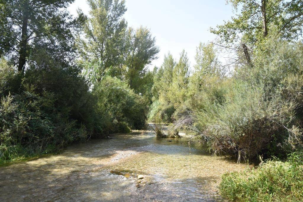 1 bedroom Finca/Country House for sale in La Fresneda - € 45,000 (Ref: 9150409)