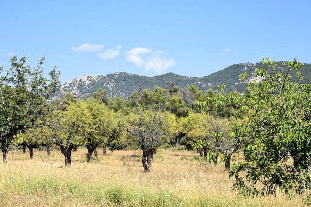 Finca/Landehus til salg i Fuentespalda - € 45.000 (Ref: 9150411)