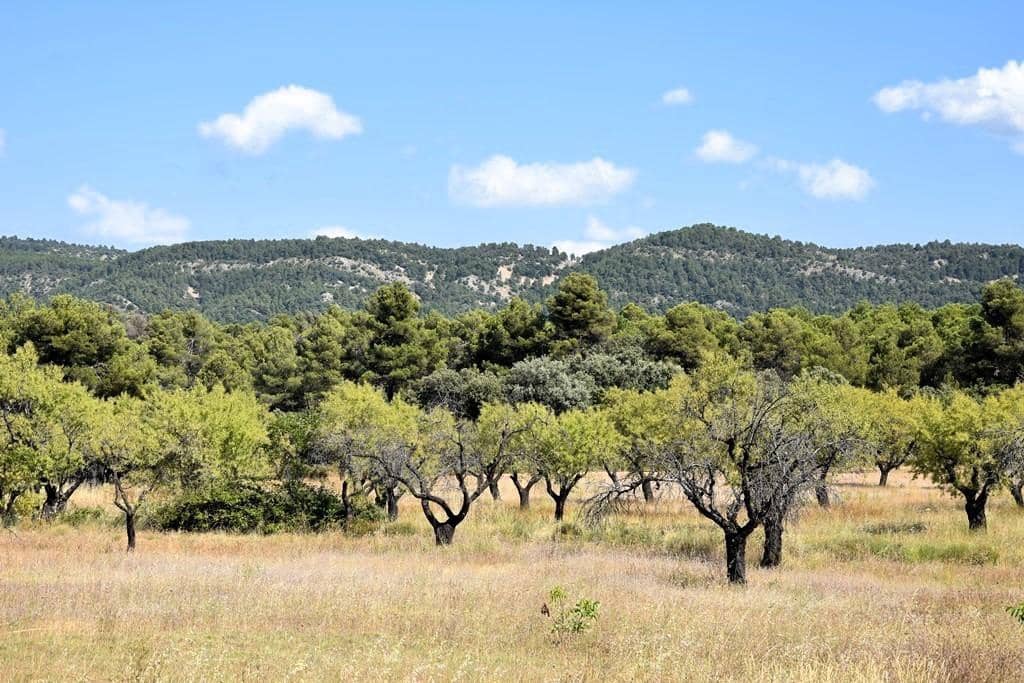 Finca/Landehus til salg i Fuentespalda - € 45.000 (Ref: 9150411)