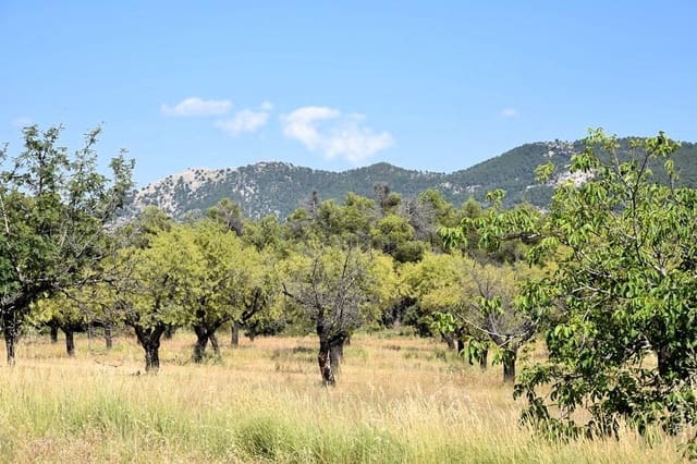 Finca/Landehus til salg i Fuentespalda - € 45.000 (Ref: 9150411)