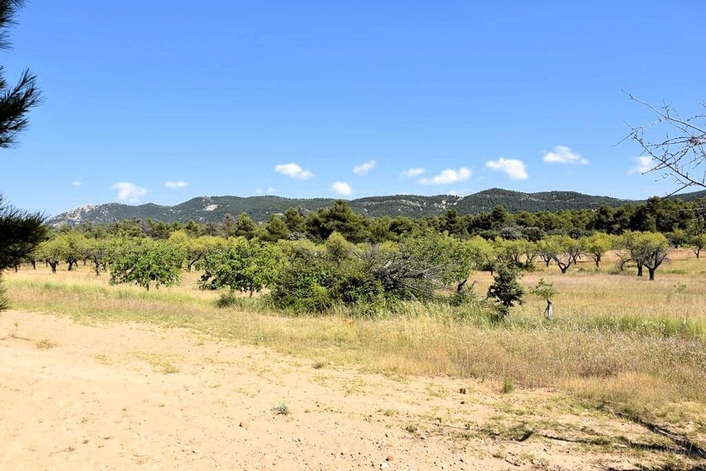 Finca/Landehus til salg i Fuentespalda - € 45.000 (Ref: 9150411)