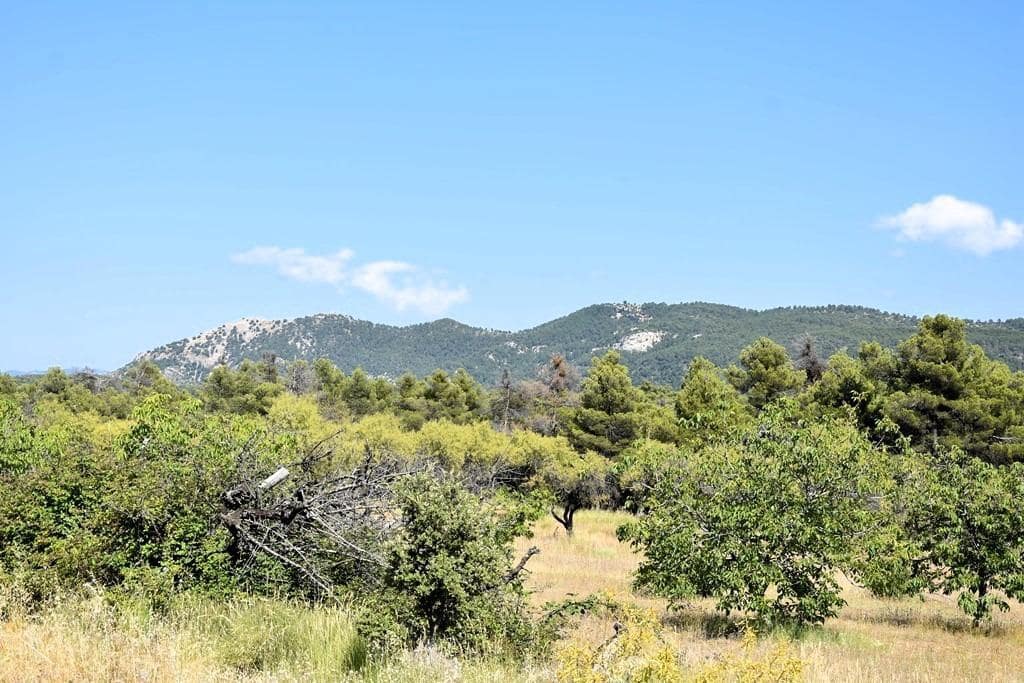 Finca/Landehus til salg i Fuentespalda - € 45.000 (Ref: 9150411)