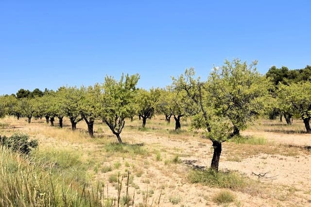 Finca/Landehus til salg i Fuentespalda - € 45.000 (Ref: 9150411)