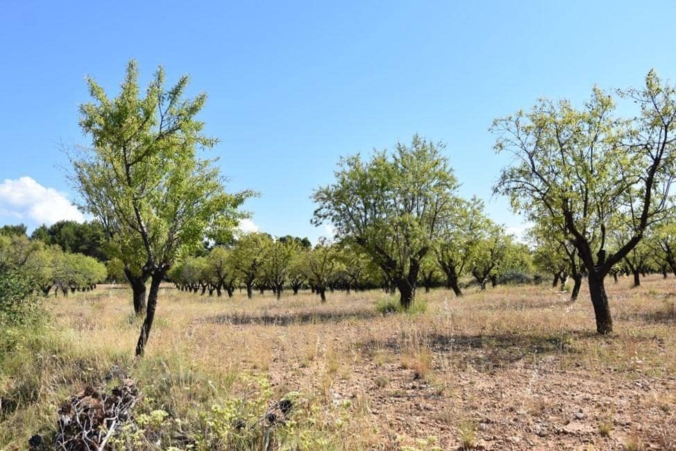 Finca/Landehus til salg i Fuentespalda - € 45.000 (Ref: 9150411)