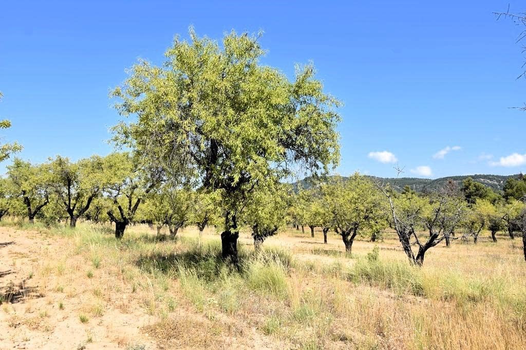 Finca/Landehus til salg i Fuentespalda - € 45.000 (Ref: 9150411)