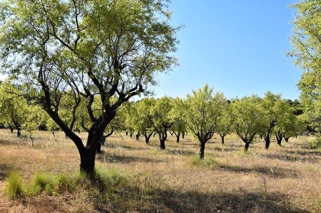 Finca/Landehus til salg i Fuentespalda - € 45.000 (Ref: 9150411)