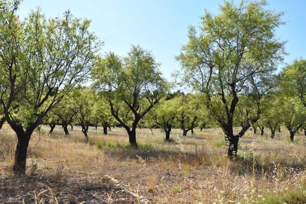 Finca/Landehus til salg i Fuentespalda - € 45.000 (Ref: 9150411)