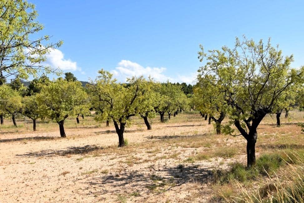 Finca/Landehus til salg i Fuentespalda - € 45.000 (Ref: 9150411)