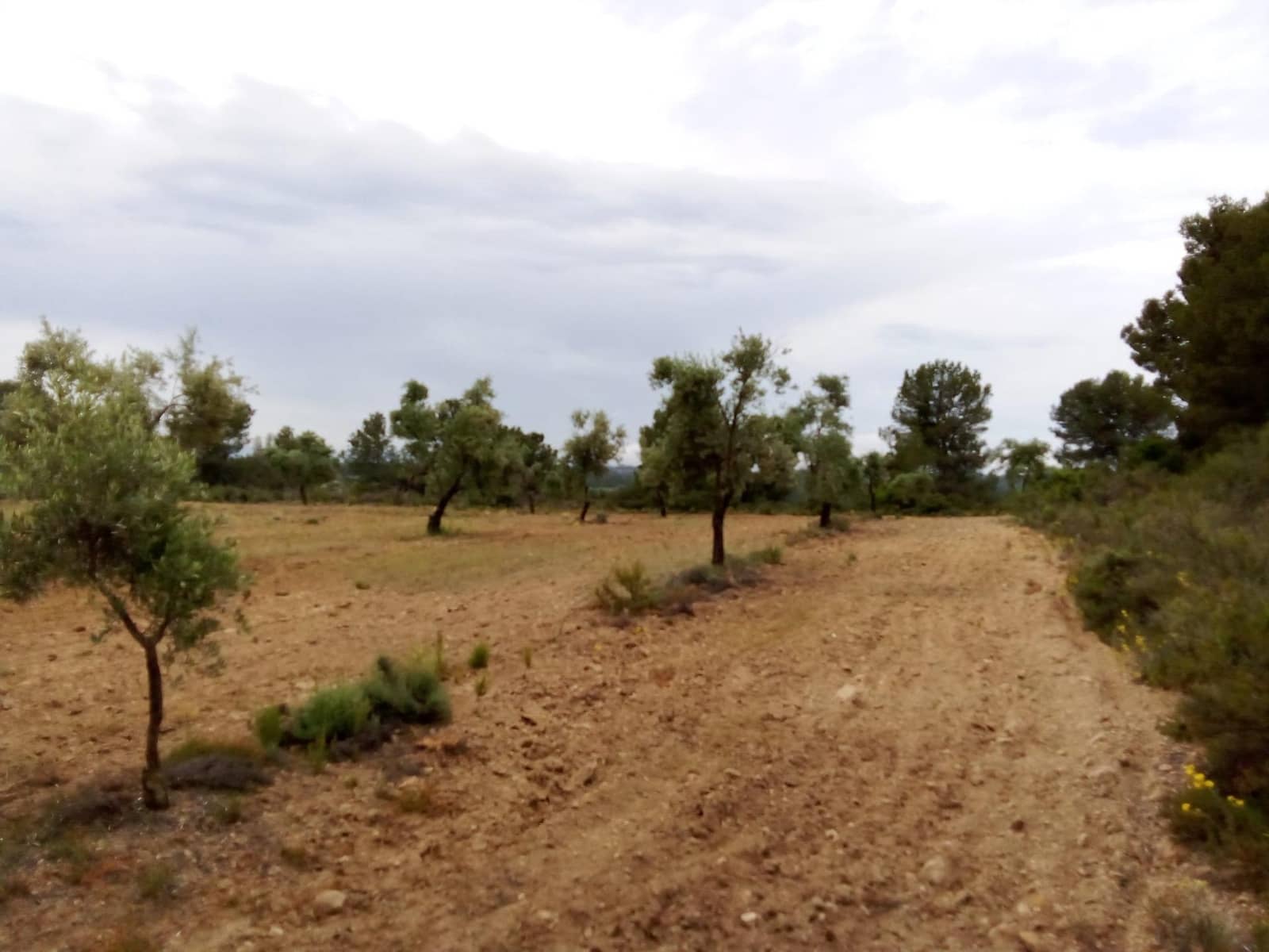 Finca/Landehus til salg i Arens de Lledo - € 23.000 (Ref: 9150412)