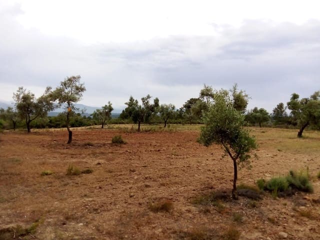 Finca/Landehus til salg i Arens de Lledó - € 23.000 (Ref: 9150412)