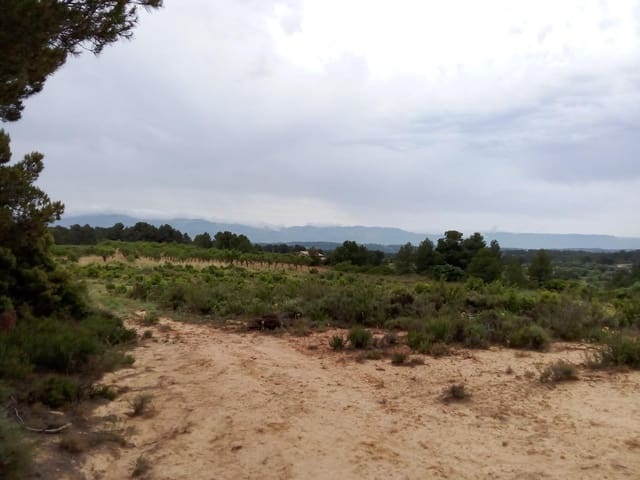 Finca/Landehus til salg i Arens de Lledó - € 23.000 (Ref: 9150412)