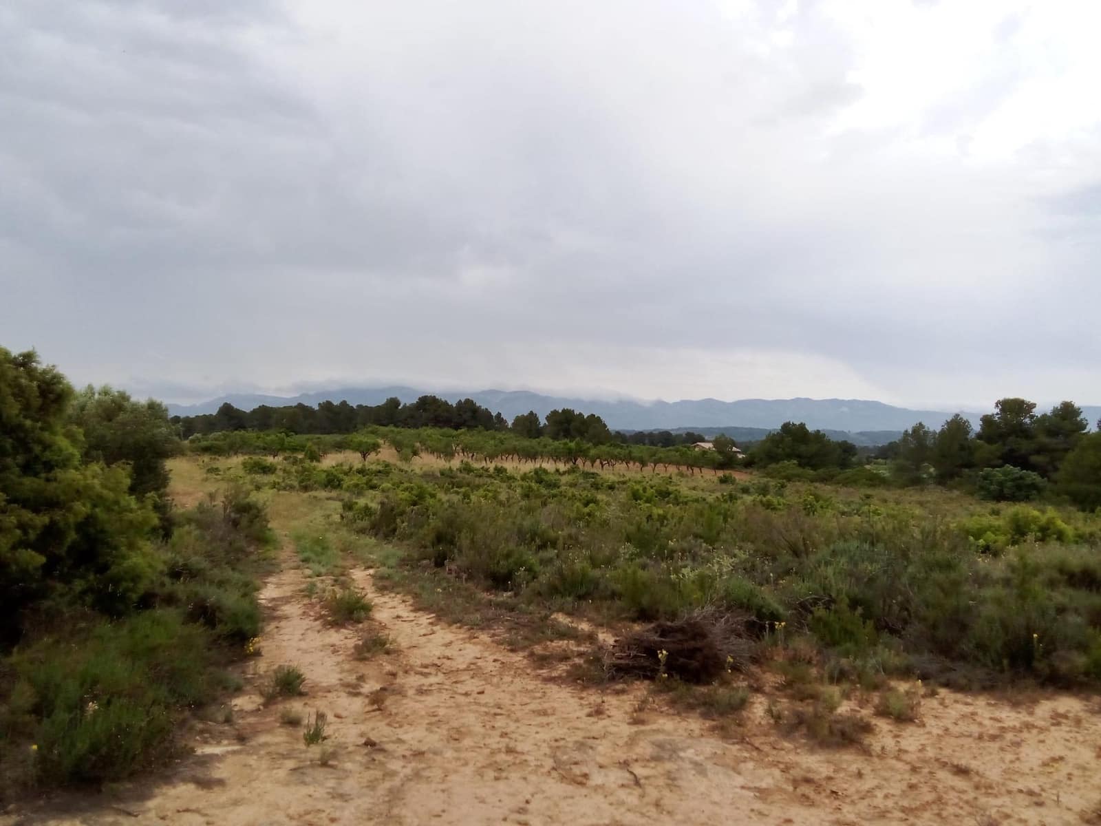 Finca/Landehus til salg i Arens de Lledo - € 23.000 (Ref: 9150412)