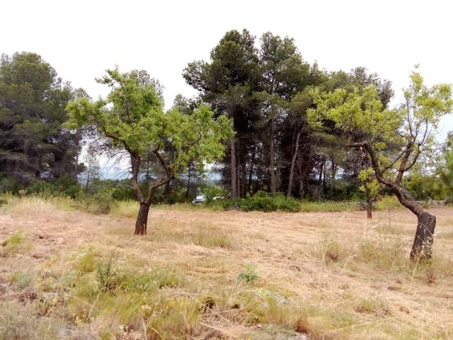 Finca/Landehus til salg i Arens de Lledó - € 23.000 (Ref: 9150412)