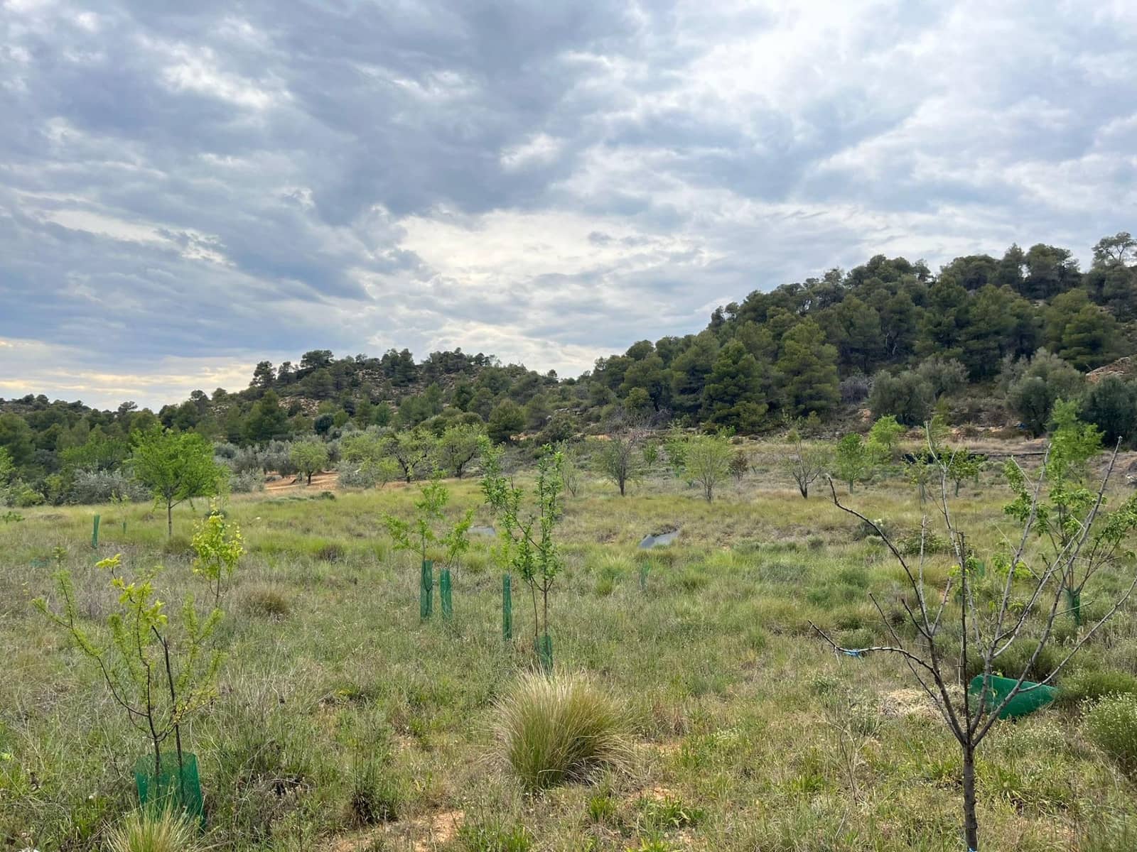 3 soveværelse Finca/Landehus til salg i Valderrobres - € 187.000 (Ref: 9150419)