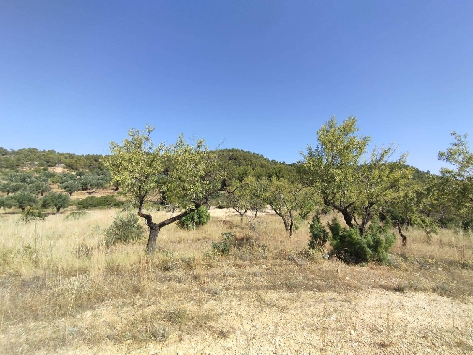 1 sypialnia Finka/Dom wiejski na sprzedaż w La Portellada - 50 000 € (Ref: 9150420)