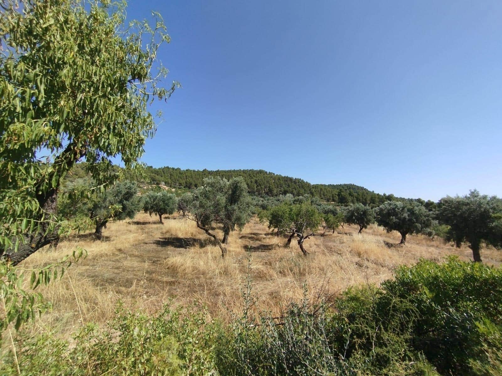 1 sypialnia Finka/Dom wiejski na sprzedaż w La Portellada - 50 000 € (Ref: 9150420)