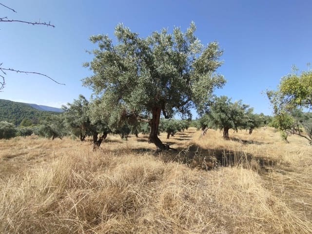 1 bedroom Finca/Country House for sale in La Portellada - € 50,000 (Ref: 9150420)