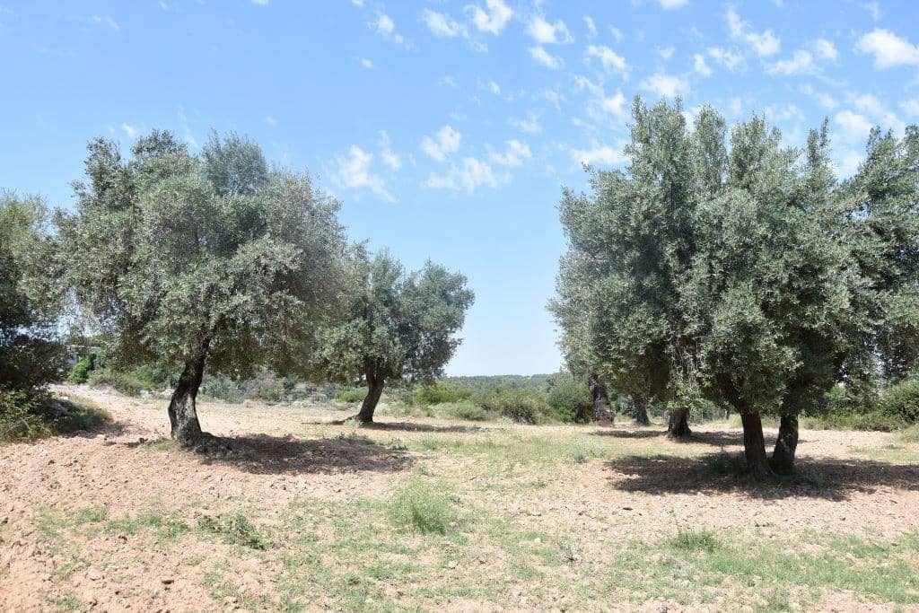 1 soveværelse Finca/Landehus til salg i Cretas - € 46.500 (Ref: 9150421)