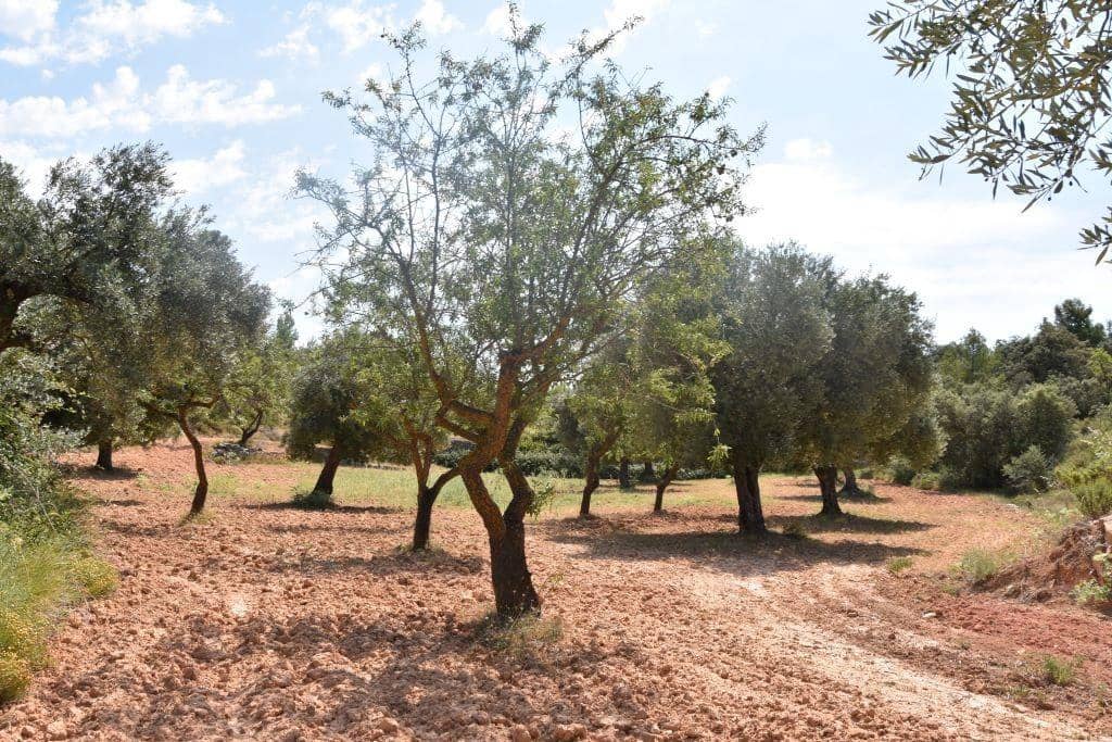 1 soveværelse Finca/Landehus til salg i Cretas - € 46.500 (Ref: 9150421)