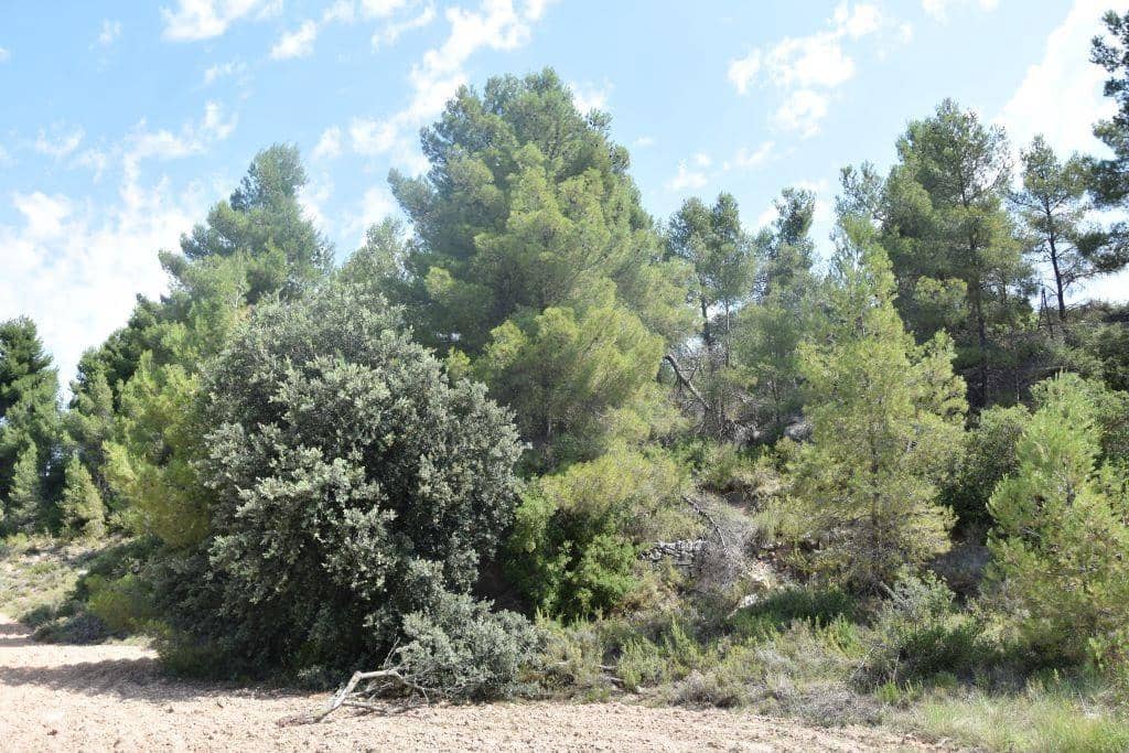 1 soveværelse Finca/Landehus til salg i Cretas - € 46.500 (Ref: 9150421)