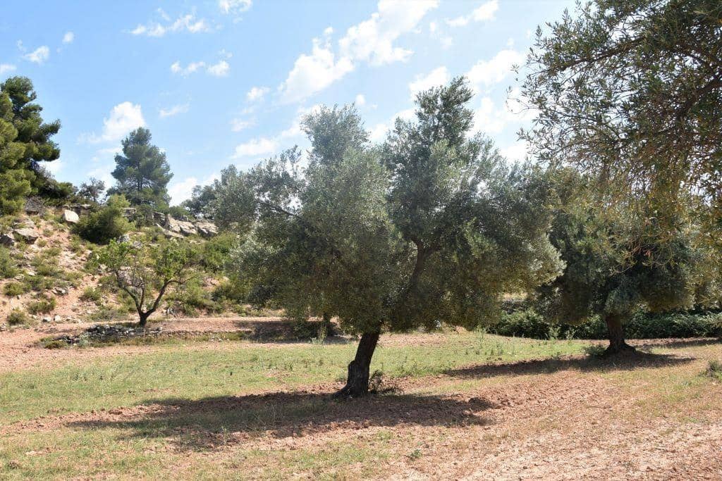 1 soveværelse Finca/Landehus til salg i Cretas - € 46.500 (Ref: 9150421)