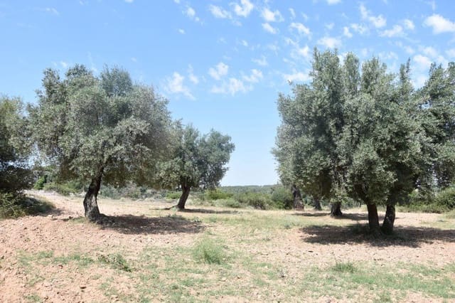 1 quarto Quinta/Casa Rural para venda em Cretas - 46 500 € (Ref: 9150421)