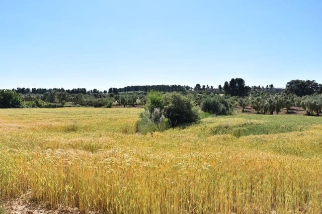 Finca/Landehus til salg i Cretas - € 17.000 (Ref: 9204751)