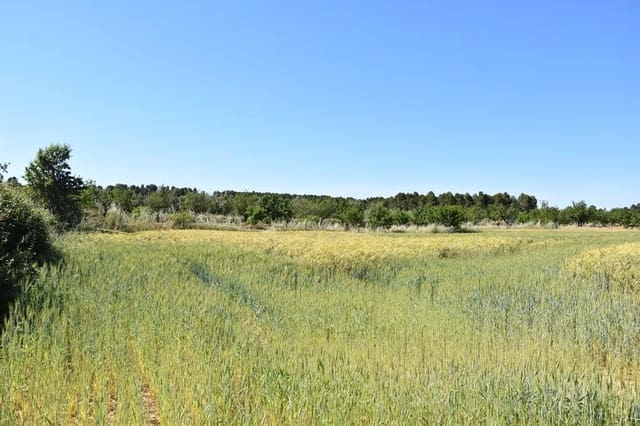 Finca/Landehus til salg i Cretas - € 17.000 (Ref: 9204751)